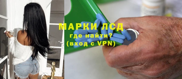 соль ск Каменка