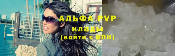 мет Касимов