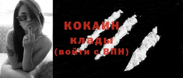мет Касимов