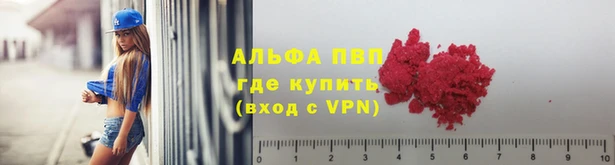 соль ск Каменка