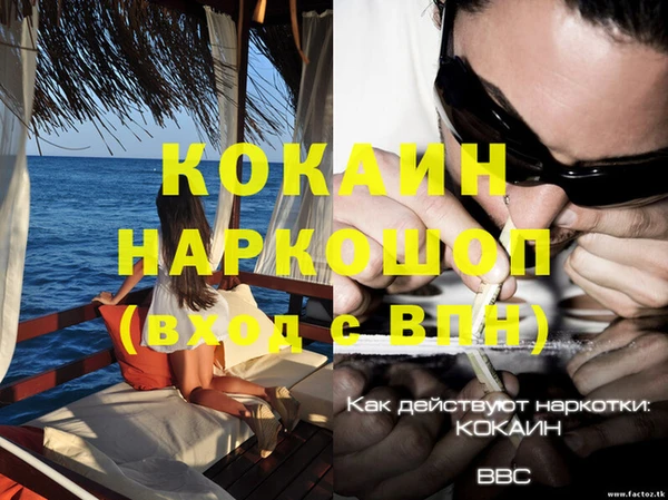 мет Касимов