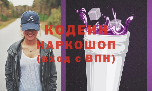 соль ск Каменка