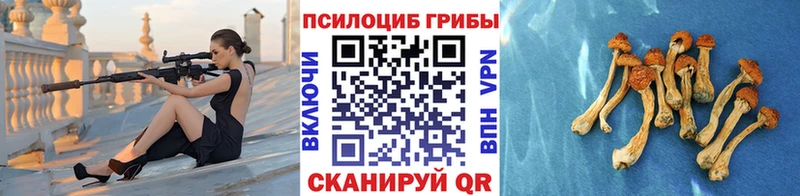 Галлюциногенные грибы мухоморы  Купить закладки  Сельцо 